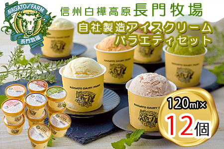 長門牧場　自社製造アイスクリーム　贅沢バラエティセット12個　クリスマススイーツギフト　長野県お歳暮