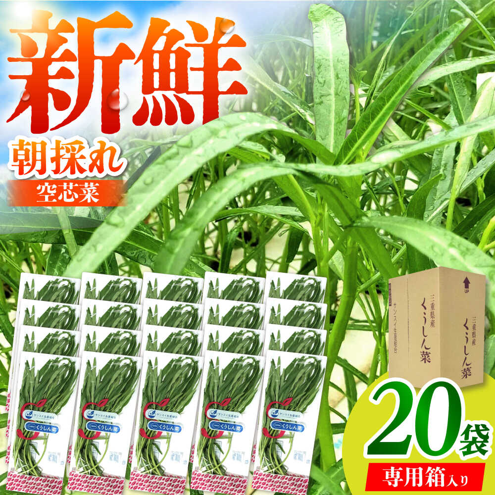 【ふるさと納税】新鮮朝採れ くうしん菜 大容量パック 20袋 / 亀山市 / グリーンハウス吉田[AMCD001]