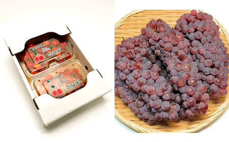 【定期便６回】厳選フルーツお楽しみ FY25-827