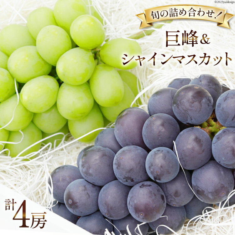 【ふるさと納税】【2025年発送】ぶどう 2種 詰め合わせ 〈巨峰 約450g×2 と シャインマスカット 約500g×2 計約1.9kg〉 韮崎市産 [Inakakara 山梨県 韮崎市 20743500] フルーツ 果物 ブドウ 葡萄 シャイン 食べ比べ 山梨県産 産地直送 期間限定 季節限定 冷蔵