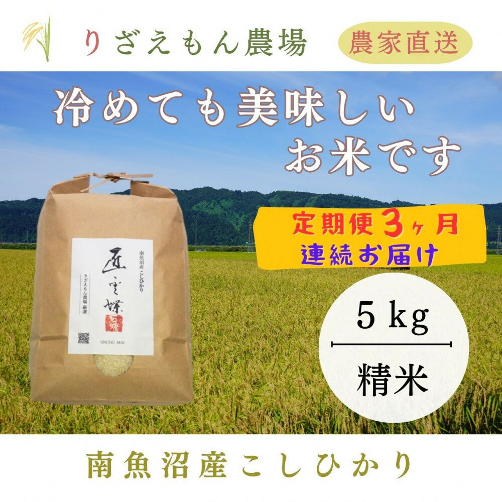 【ふるさと納税】《新米予約受付》【定期便3回×5kg《合計15kg》】令和7年産　南魚沼産コシヒカリ　白米5kg　＼生産農家直送／【2025年10月上旬より順次発送予定】 | お米 こめ 白米 コシヒカリ 食品 人気 おすすめ 送料無料 魚沼 南魚沼