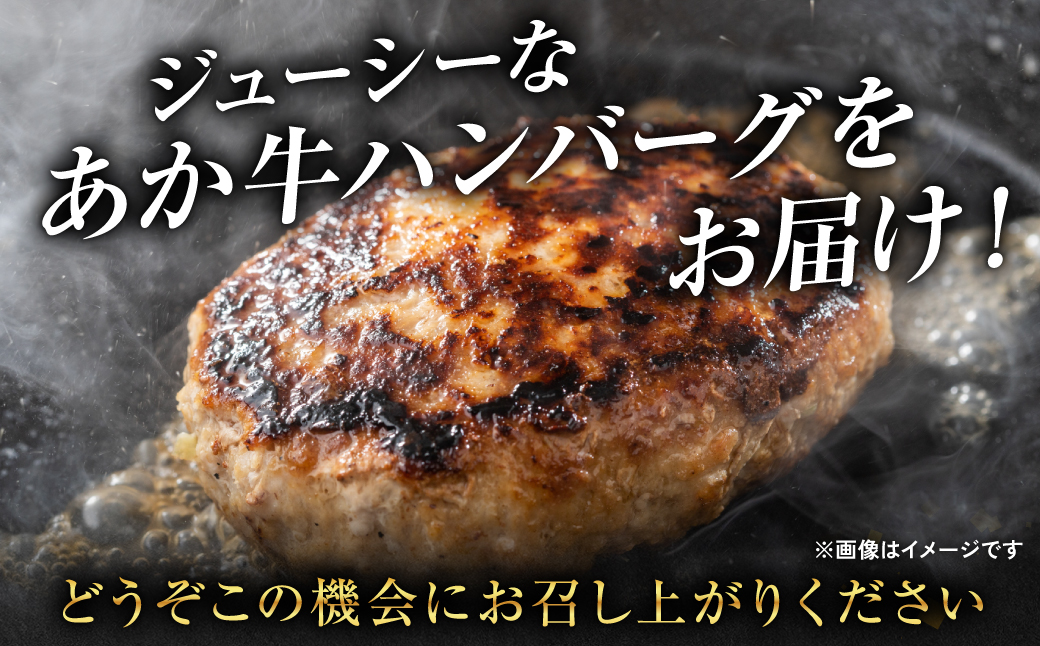 熊本県産赤牛100％ 手づくり！ハンバーグ 150g×10個 計1.5kg_イメージ4