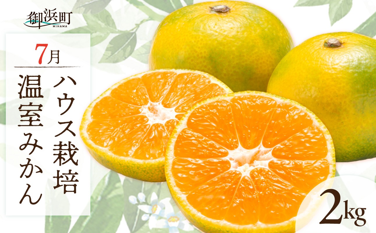 
                  7月の御浜柑橘 温室みかん 2キロ【先行予約 期間限定 果物 フルーツ みかん 温室みかん 2kg 三重県 御浜町】
                