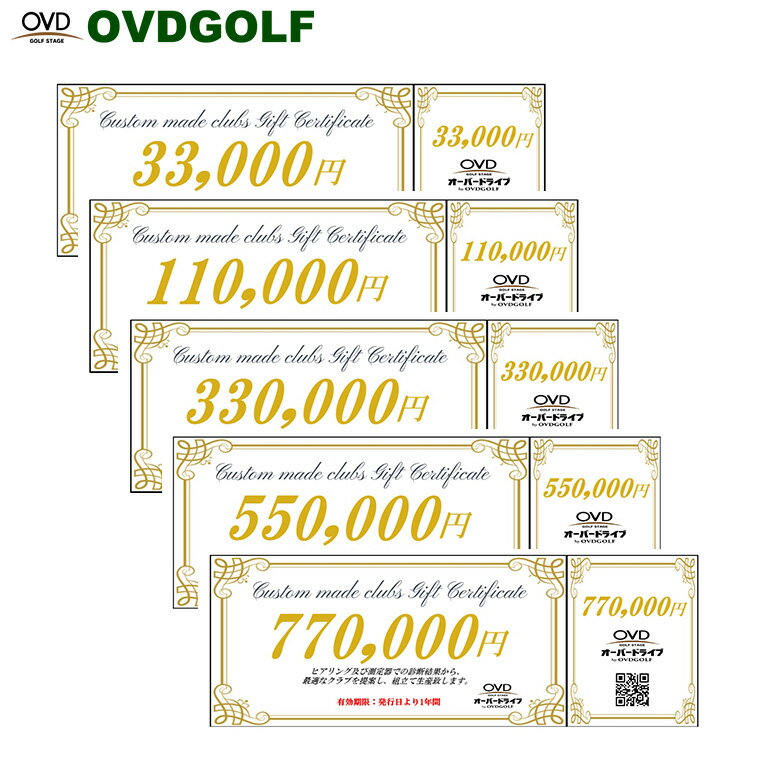 【ふるさと納税】ゴルフ フィッティング + カスタムクラブ チケット選べる額面5種類 33,000円分～770,000円分 / クーポン券 ゴルフクラブ 制作 取扱いブランド多数 EPON RODDIO MAKINO クラブフィッター オーダーメイド OVD GOLF