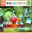 【ふるさと納税】【定期便6回】季節の野菜セット 16品目 毎月1回 計6回 ベジタブル 詰め合わせ 野菜定期便 新鮮 国産 九州産 熊本県産 送料無料