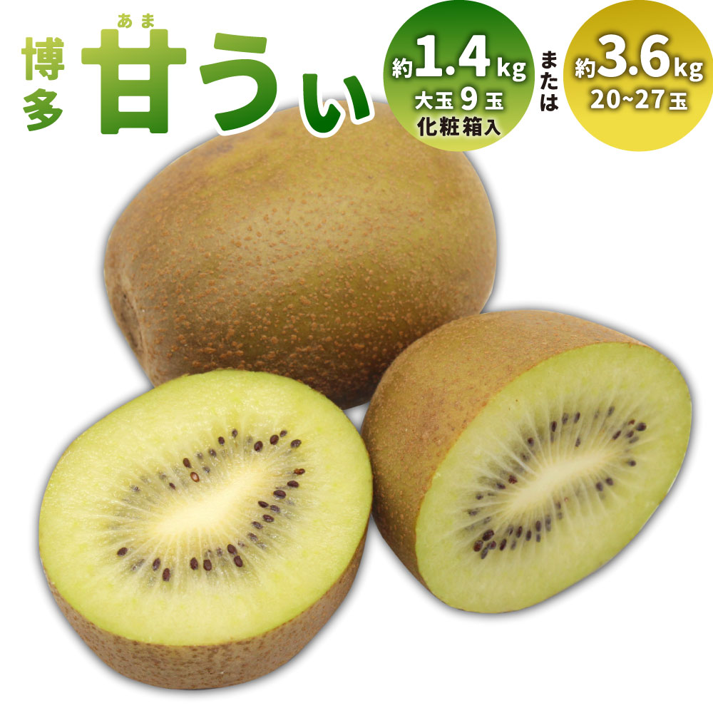 【ふるさと納税】＜選べる内容量＞博多甘うぃ ブランドキウイフルーツ 約3.6kg（20玉・24玉・27玉）・約1.4kg（大玉9玉） 化粧箱 くだもの 果物 果実 フルーツ 黄色 冷蔵 福岡県産 国産 福岡県 香春町 送料無料 【2025年11月上旬～11月下旬発送予定】