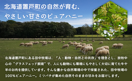 【数量限定】100%ピュア田中ハニー OTH003