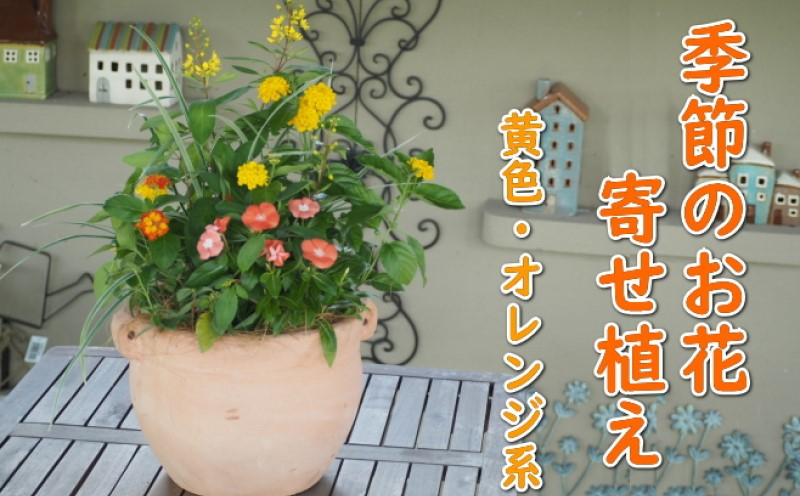 
植物 寄せ植え 季節のお花 黄色 オレンジ系 つぼ丸型 25cm ガーデニング 花 配送不可：北海道、沖縄、離島
