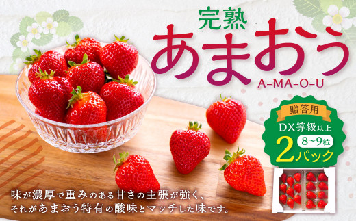 完熟あまおう 贈答用2パック いちご 苺 イチゴ フルーツ 果物 くだもの あまおう ギフト 冷蔵 苅田町 【2027年1月上旬-3月下旬発送予定】