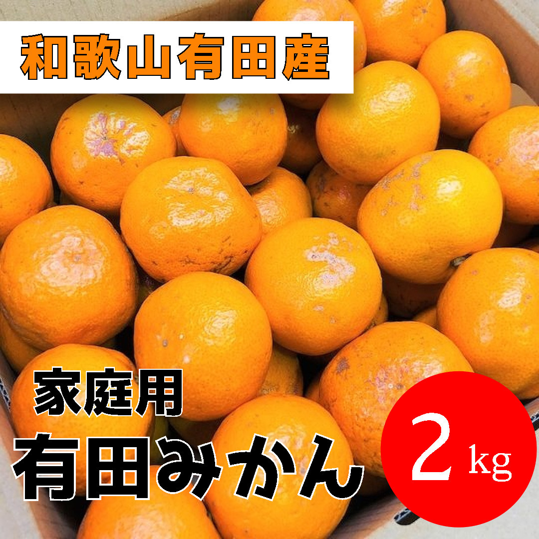 家庭用 有田みかん 2kg (約18個～20個) DJ037