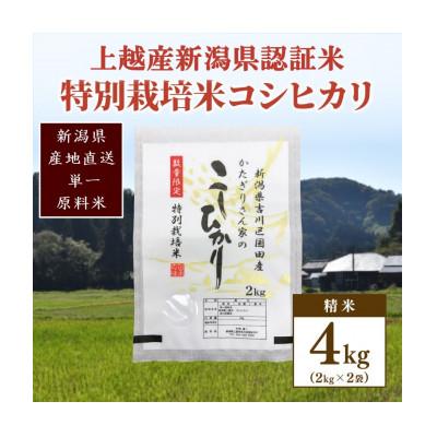 ふるさと納税 上越市 ★数量限定★令和7年産・新潟県上越市吉川区国田産・新潟県認証米/特別栽培米コシヒカリ精米4kg