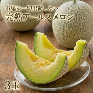 アールスメロン 3玉 完熟 大玉 先行予約 完熟 贈答用 くだもの フルーツ 果物 マスクメロン 