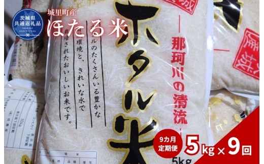ほたる米 5kg 定期便 9ヶ月 米 こめ コメ お米 おこめ コシヒカリ ホタルマイ 白米 精米 ごはん ご飯 令和7年産 茨城県 城里町 高萩市（茨城県共通返礼品・城里町産）