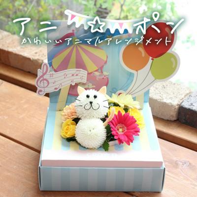 ふるさと納税 石巻市 アニ☆ポン(ネコ)