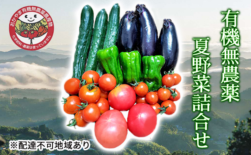 早期受付 夏野菜 詰め合わせ おかやま 有機無農薬 農産物 野菜 セット