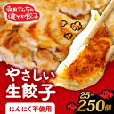 【ふるさと納税】 やさしい生餃子 選べる 容量 25-250個 にんにく 不使用 ヘルシー 冷凍 餃子 ぎょうざ 国産野菜 おから 鶏肉 アボカド ヨーグルト 生餃子 ギョウザ ギョーザ 焼き餃子 水餃子 冷凍餃子 惣菜 夜ご飯 おかず 時短 大阪府 松原市