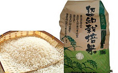 新米 令和6年産 岐阜県産 ハツシモ 10kg（5kg×2）