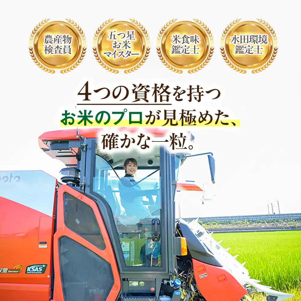 ≪令和7年度産≫ プロが厳選 ふんわり玄米玄米 ハツシモ 5kg｜玄米