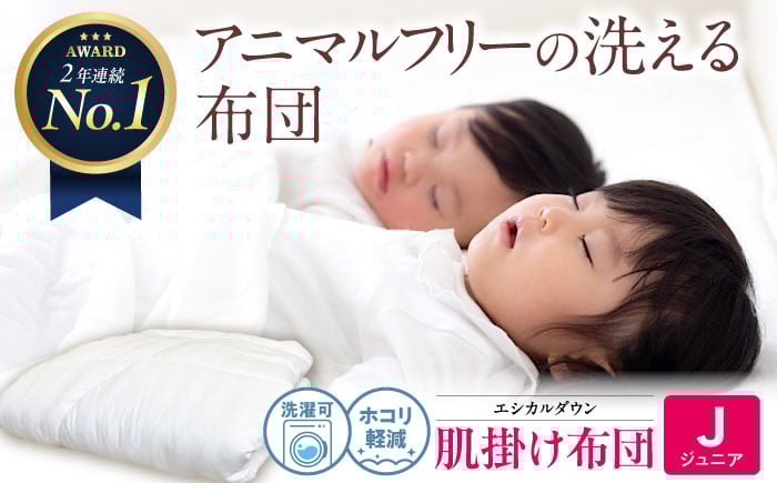 
            洗える 人工羽毛布団 肌掛け布団 〈ジュニア〉人工羽毛 エントリーモデル 広島県福山市/イシケン株式会社 布団 掛け布団 掛けふとん 日本製 掛布団 薄手 軽い 春 夏 寝具 アレルギー対策 [BAAK031]
          