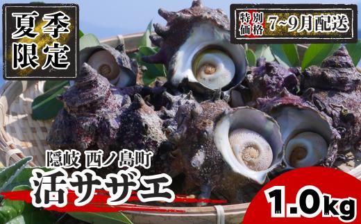 【限定価格！7～9月配送希望の方！】コリ旨！獲れたて鮮度抜群 島獲れ活サザエ1.0kg満足セット - 磯の香りと海の恵みを食卓へ 冷蔵便 サザエ 栄螺 貝 海鮮 BBQ さざえご飯 壺焼き 刺身 バー