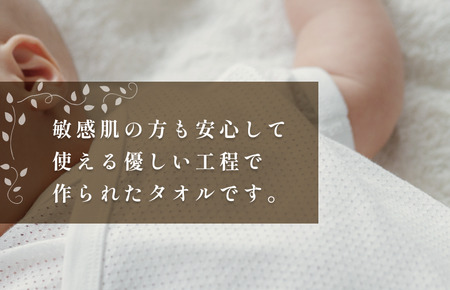 （今治タオルブランド認定）今治エコタオルフェイスタオル １枚 今治タオル 無蛍光 無発色 フェイスタオル[IA05170]