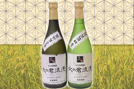 もち米焼酎「火の君浪漫」2本セット 720ml×2本 40度 熊本県氷川町産 道の駅竜北《60日以内に出荷予定(土日祝除く)》