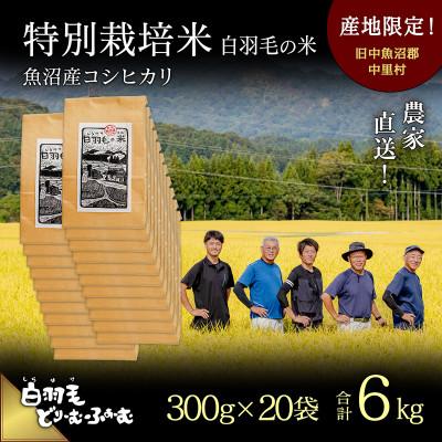 ふるさと納税 十日町市 令和7年産　農家直送!魚沼産コシヒカリ特別栽培「白羽毛の米」精米(300g×20袋)6kg