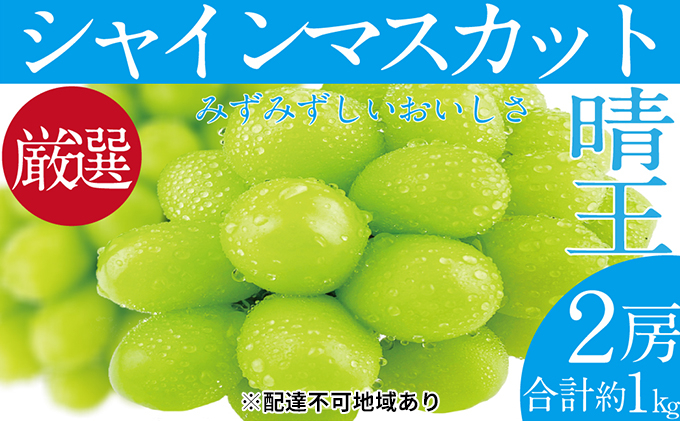 
            ぶどう 2025年 先行予約 シャイン マスカット 晴王 2房（合計約1kg） ブドウ 葡萄  岡山県産 国産 フルーツ 果物 ギフト
          