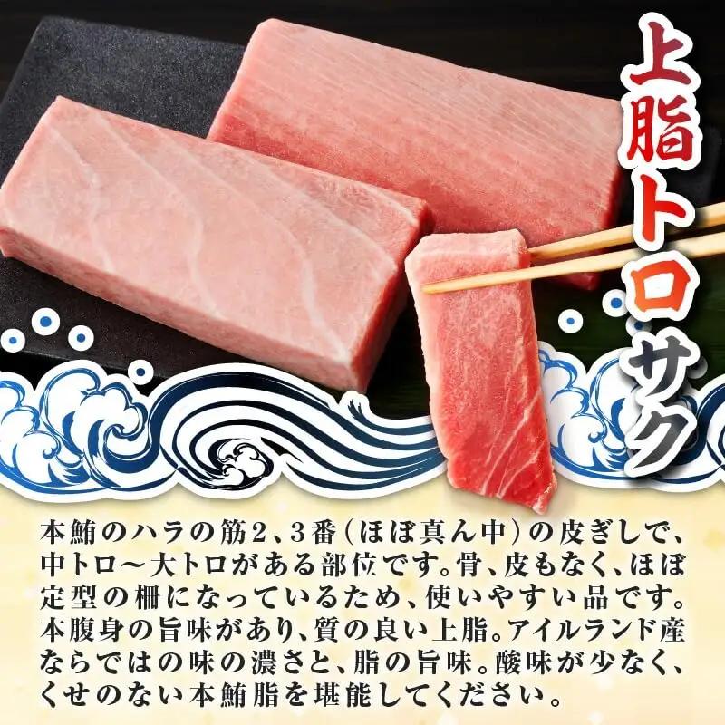 天然本鮪 上脂 トロ サク（ 1柵 ） M081-004-01 冷凍 マグロ