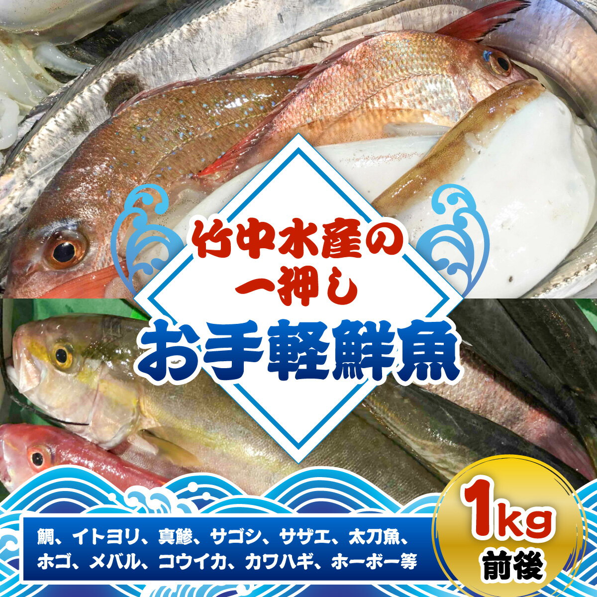 【ふるさと納税】竹中水産の一押し「お手軽鮮魚」1キロ前後【C22-235】_【配送不可地域：離島、北海道、沖縄県】【1073396】YWTM053