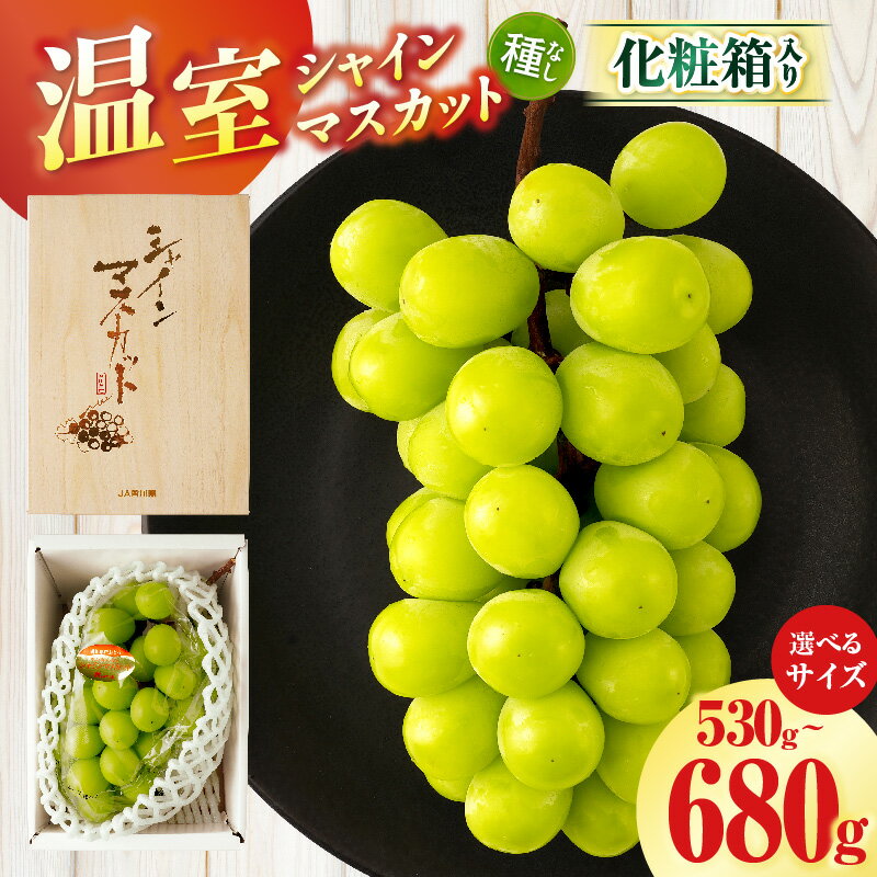 【ふるさと納税】【選べる内容量】温室シャインマスカット 1房化粧箱入り(530g～680g以上)果物 フルーツ デザート スイーツ マスカット 種無し 種無しマスカット 化粧箱入り 化粧箱 贈り物 ギフト 贈答 贈答用 特産 特産品 ぶどう 人気 お中元 グルメ おすすめ 香川県 三木町