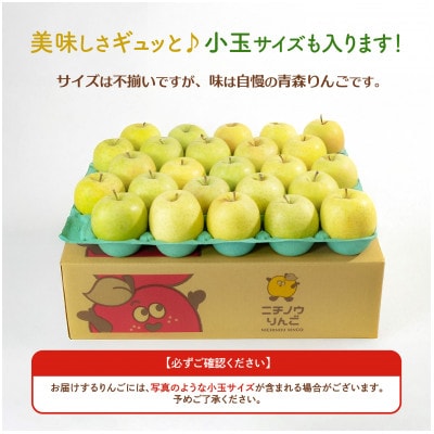 【26年11月から順次発送】平均糖度13度以上! 王林 約10kg 訳あり 青森県産 りんご【配送不可地域：離島・沖縄県】