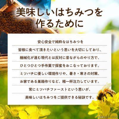 ふるさと納税 大牟田市 坂井養蜂場　みつばちの雫　500g+300g(合計800g)国産蜂蜜 |  | 02