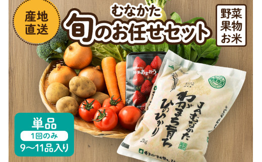 【レビューCP対象】【9～11品】むなかた旬のお任せセット(野菜・フルーツ・お米)【JAほたるの里】_HA0263