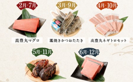 海からの贈り物！マグロとカツオの定期便【５回お届け】 海鮮 魚 刺身 まぐろ 鮪 かつお 鰹 たたき 高知 _tk006