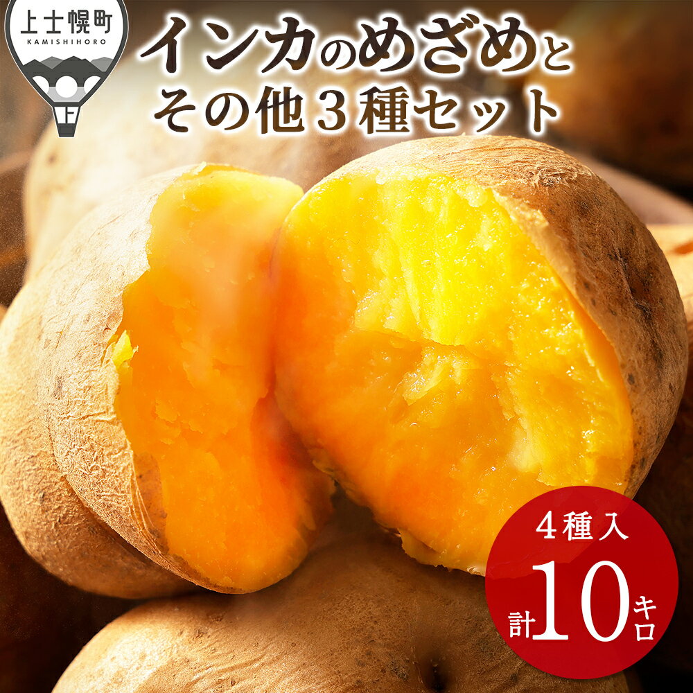 【ふるさと納税】2026年産 先行予約 北海道産 インカのめざめ その他3種 じゃがいも セット 10kg 高評価★4.5 北海道 上士幌町 加藤農場 野菜 秋野菜 インカの目覚め ジャガイモ 馬鈴薯 詰め合わせ 産地直送 ◆2026年11月配送予定 レビューキャンペーン対象品