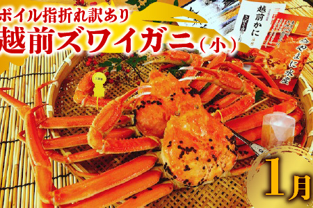 【先行予約】【年2回定期便】越前がに・せいこがに食べ比べコースA [G-4353]