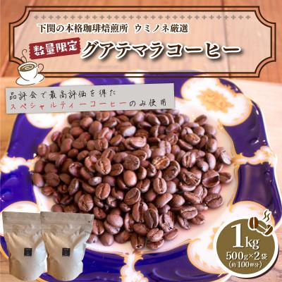 ふるさと納税 下関市 【浅煎り】 訳あり コーヒー粉 1kg ( 500g × 2袋 ) グアテマラ EW149-C