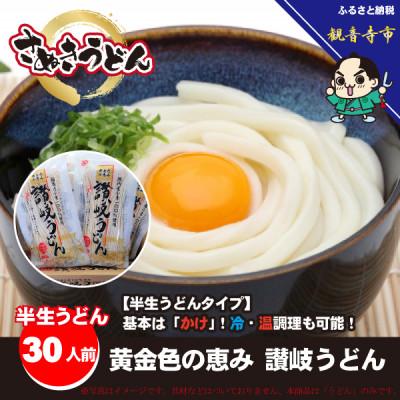 ふるさと納税 観音寺市 【半生さぬきうどん】黄金色の恵み讃岐うどん30人前 国内産小麦100%使用(KA-38)常温保存可能