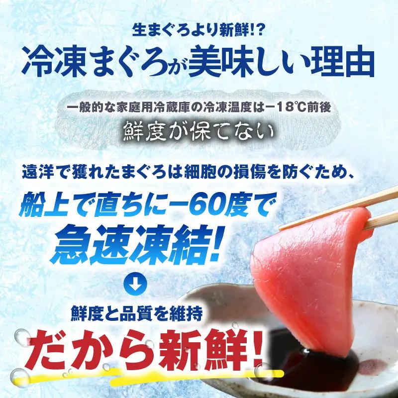 お正月 用 メバチ鮪 セット（ 神奈川県漁連 ） M077-006-01 冷凍 マグロ