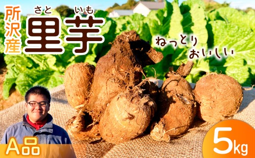 里芋 A品 5kg | さといも サトイモ 芋 いも イモ 根菜 野菜 芋煮 煮物 煮込み 料理 鍋 和食 新鮮 掘りたて ねっとり 国産 産地直送 季節限定 三富 こうやま農園 埼玉県 所沢市
