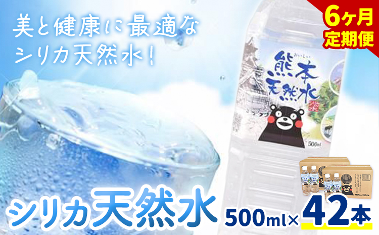【定期便6回】シリカ天然水 500ml×42本 《お申込み月の翌月から出荷開始》 ---159-1878---