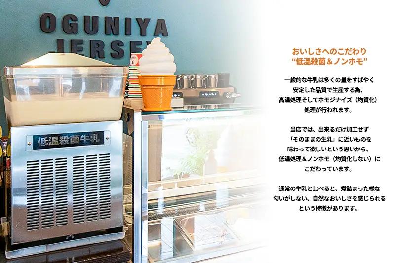 【OGUNIYA JERJEY】阿蘇小国ジャージージェラート ミルク ヨーグルト 各3個 計6個 ゴールデンミルク 牧場しぼり 山吹色のジャージー牛乳使用 お取り寄せ ご褒美 簡易のし 贈答 ギフト 