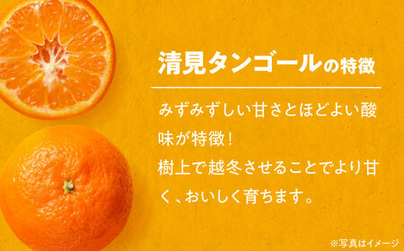 【お中元対象】自分へのご褒美やプレゼントに♪永沼農園のみかんジュースセット（清見タンゴール 720ml×6本）　愛媛県大洲市/永沼農園[AGAW007]みかんジュースミカンジュース果物みかんジュースミ