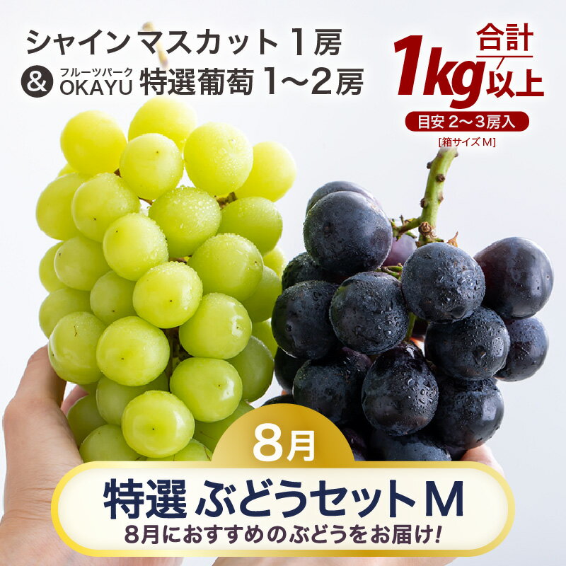 【ふるさと納税】【先行予約】8月特選 ぶどうセットM　1kg以上（2～3房）／ 葡萄 シャインマスカット シャイン 品種 おまかせ あわら 農家おすすめ ※2026年8月より順次発送