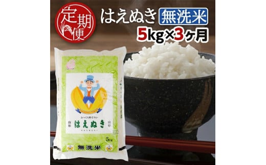 【3回定期便】無洗米 はえぬき　5kg×3回(計15kg) TO SF0287