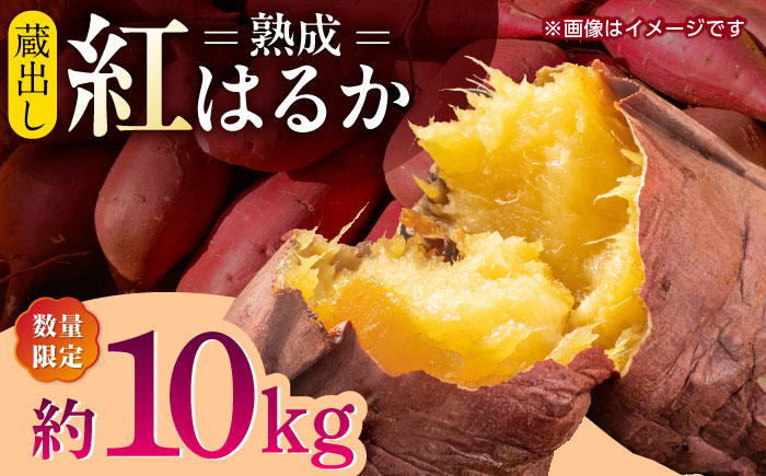 
            【数量限定】【先行予約】蔵出し 熟成 紅はるか さつまいも 約10kg サイズバラバラ 密 芋 【合同会社 福福堂】 [ZCN019]
          