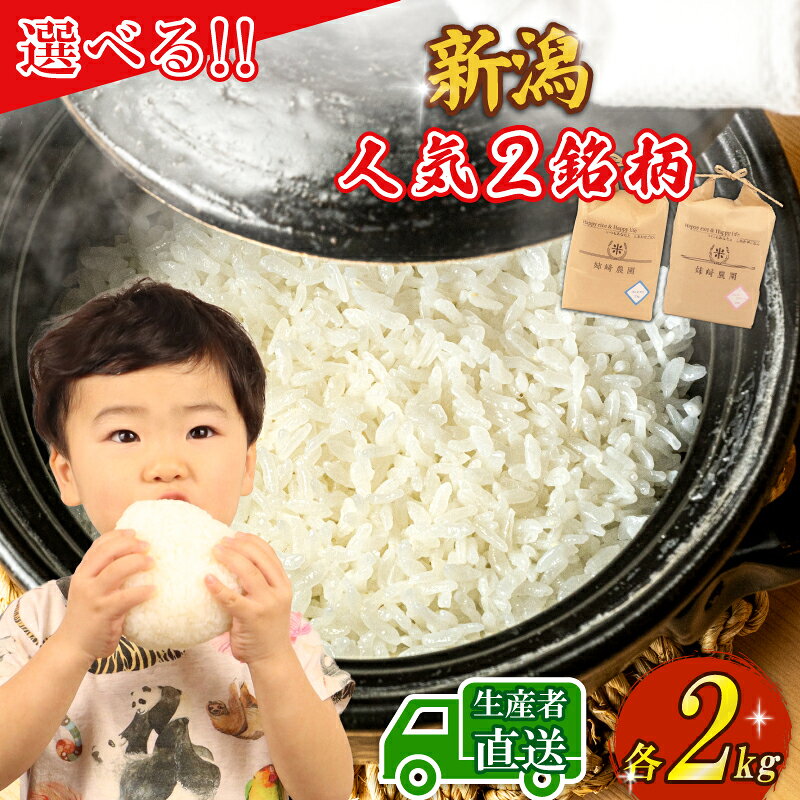 【ふるさと納税】 新潟 米 2kg 選べる 2品種 コシヒカリ ミルキークイーン 令和8年産 白米 米 こしひかり ミルキー こめ ごはん おにぎり お弁当 特別栽培米 農家直送 産地直送 姉崎農園 新潟産 新潟県 新発田市 anezaki007P