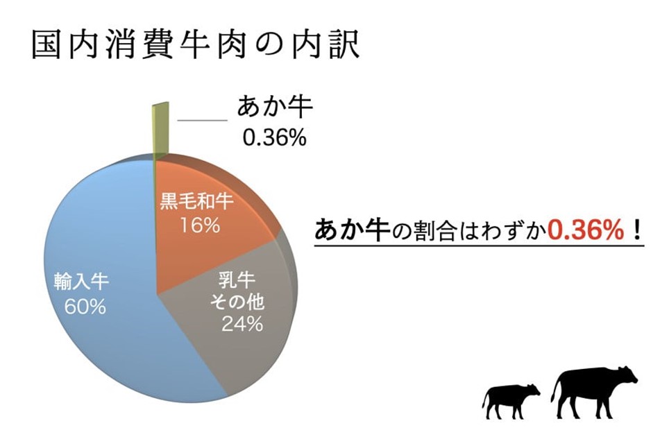 GＩ認証 くまもとあか牛 特選 焼肉 500g 熊本県産 くまもとあか牛 特選 焼肉用 500g 国産牛 あか牛 赤身 霜降り 牛肉 牛 国産 肉 焼肉 バーベキュー BBQ 阿蘇牧場 熊本 南小国町