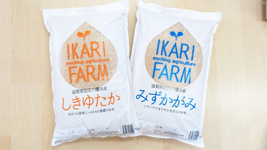 【新米】【6年産】「しきゆたか」「みずかがみ」詰め合わせセット　玄米【10kg（5kg×2品種）】【C023U】